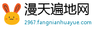 漫天遍地网